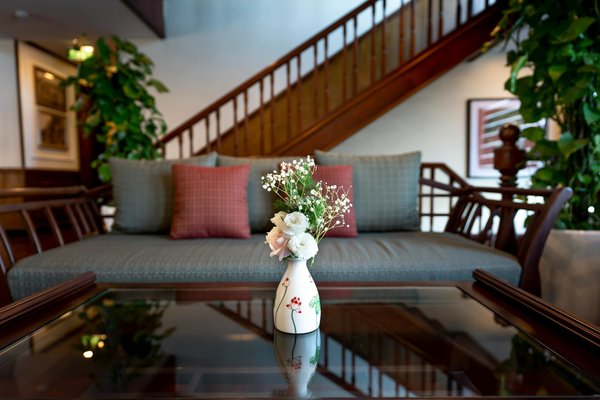 La Dolce Vita degli Animali Domestici!